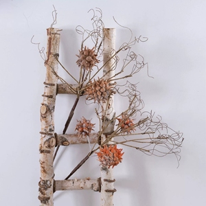 Ramo Artificiale di Eros Liquidambar con Bacche Naturali Essiccate, Effetto Realistico, per Decorazioni Matrimoniali e Vasi - Product Image 5