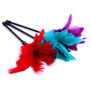 Giocattoli Erotici Huawen con Piume e Bacchette, Prodotti BDSM per Sesso <span class=keywords><strong>Anale</strong></span> e Giochi di Coppia - Product Image 5