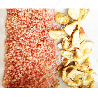Gelgoog Granaatappel Extract Sapmachine Granaatappelkorrels Saplijn Granaatappelmolasses Maakmachine