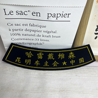 Patch brodé personnalisé grand format Harley Davidson à coudre ou thermocollant pour vestes, vêtements de motard et badges
