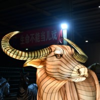 Maßgefertigte Große Chinesische Laternen mit Beleuchtung für Außen- und Innenbereich, Nachttouren, Eventdekoration, Tier-Themen-Laternen