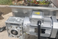 Automatische Multifunctionele Motor Aangedreven Fruit En Groente Wasmachine Met Luchtbel Ozon Schoonmaken Voor Maïs En Knoflook
