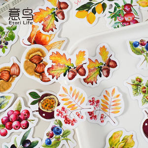 46 hojas por caja pegatinas en caja coleccionista de frutas retro <span class=keywords><strong>Goo</strong></span> tarjeta pegatinas manual álbum DIY sello decorativo pegatinas - Product Image 3