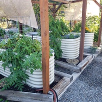 Kit de bac à jardin surélevé modulaire en métal de 32 pouces de haut - Cultivez vos propres légumes frais
