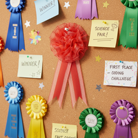 Badge personnalisé en polyester écologique pour récompense d'anniversaire, ruban de célébration en satin imprimé, décoration de fête pour fille, garçon, bébé