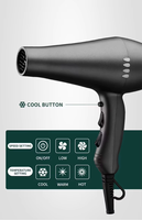2000W AC Moteur Sèche-Cheveux Salon Sèche-Cheveux Ensemble Avec Diffuseur Concentrateur Buse Pour Salon
