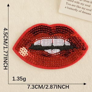 OEMカスタムデザインパッチすべてのサイズで利用可能アイロン刺繍衣類用パッチツイル生地ヒートプレスタオル - Product Image 6