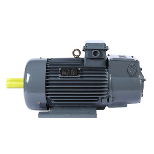 Motor de Anillo para Grúa Trifásico de 380V CA Serie YZR con Eficiencia IE3 y Carcasa de Hierro Fundido - Product Image 5