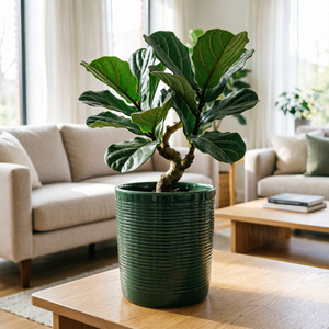 Pots à fleurs <span class=keywords><strong>en</strong></span> céramique côtelée minimalistes de qualité supérieure, nouvelle arrivée, pour la maison moderne et les plantes d'intérieur, les succulentes et les plantes vertes - Product Image 3