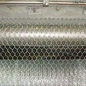 High Quality Galvanized Hexagonal Chicken Wire Netting Fence Hex Mesh