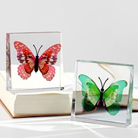Bloc de spécimen de papillon en résine, presse-papiers insecte simulé, décoration de bureau, aide pédagogique scientifique, cadeau