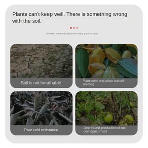 Fertilizante orgánico Daojimei fotosintético de titanio de alta eficiencia <span class=keywords><strong>para</strong></span> huertos, expansión de raíces, plantas frutales <span class=keywords><strong>para</strong></span> - Product Image 4