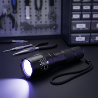 Mini lampe torche UV LED 395nm haute puissance, lampe d'inspection portable pour la détection de fluorescence et des bijoux