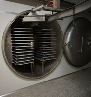 Lyophilisateur industriel pour fruits, légumes et aliments pour animaux de compagnie, machine de lyophilisation