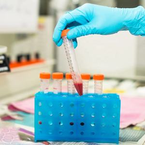 Tubos estéreis do centrifugador do uso 10mL <span class=keywords><strong>15mL</strong></span> 50mL do laboratório - Product Image 3