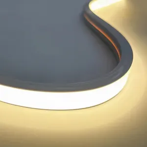 Pita garis lampu neon fleksibel led besar silikon kualitas tinggi ukuran 100mm 70mm 50mm 30mm 20mm 12v 24v strip tali tabung pita strip lampu 12v 24v