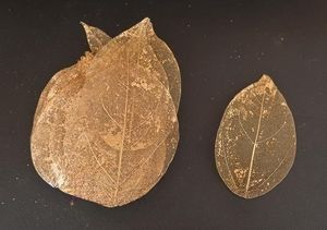 Daun padat pembuluh darah kering alami warna-warni untuk pembatas buku DIY bingkai lukisan buatan tangan dekorasi - Product Image 4