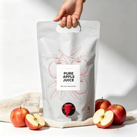 Pochettes souples pour jus et boissons 3L 5L, sacs d'emballage liquide de qualité alimentaire, pochettes à boisson rechargeables, sacs plastiques personnalisés OEM