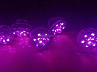 Lumières LED programmables étanches pour carnaval, 30 mm, 12 V, 24 V, RGB, pixels lumineux pour manèges de fête foraine