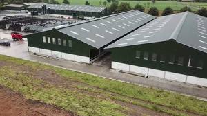 Nuovo Design a basso costo struttura in acciaio mucca capannone prefabbricato in acciaio fattoria edificio per il bestiame struttura in acciaio capanno mucca - Product Image 3