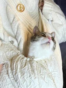 Kedi/köpek taşıyıcı küçük orta kediler için yavru 15 Lbs kadar rahat konfor taşıyıcı beyaz kedi çantası evcil hayvan taşıyıcı bakım için - Product Image 5