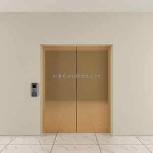 Ascenseur de maison de luxe de haute qualité à vendre 10 <span class=keywords><strong>personnes</strong></span> 750kg Home Lift - Product Image 4