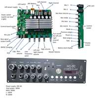 Module amplificateur karaoké Bluetooth OEM, stéréo USB AUX double micro, module amplificateur audio pour enceinte trolley extérieure