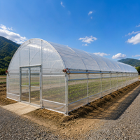Système d'agriculture hydroponique pour la culture de fraises et de champignons, serres à simple portée, tunnel de serre en film PO/PE, fabrication OEM