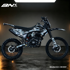Moto de course puissante à moteur essence 300cc sans balais 4 temps, monocylindre refroidi par air, 5 vitesses, <span class=keywords><strong>Enduro</strong></span> Motocross CB300F - Product Image 2