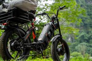 Bicicleta Eléctrica Todoterreno de Alta Velocidad, 250w, 48v, 60Ah, Llanta de 20 Pulgadas, Precio de Fábrica en China, para Montaña y Ciudad - Product Image 6