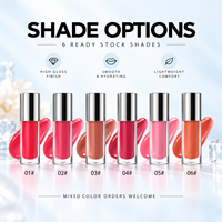 Gloss à lèvres rafraîchissant RTS 6ml avec applicateur en alliage de zinc, haute brillance, 6 teintes, faible MOQ 3 pièces, vente en gros, logo personnalisé