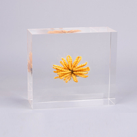Cube d'affichage de bloc de médecine chinoise en acrylique transparent de 20mm avec logo personnalisé gravé et intégré Bloc photo d'impression UV Lucite