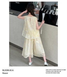 Nuovo Completo Estivo per Bambine in Stile Cinese, Due Pezzi Senza Maniche, Traspirante e Casual - Product Image 2