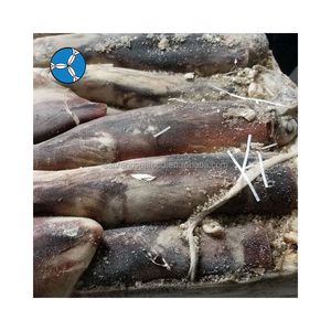 SANFENG SEAFOOD Prix de gros <span class=keywords><strong>Calamar</strong></span> géant du Pérou congelé à vendre - Product Image 1