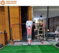 Juego Digital de Penaltis de Fútbol con Portero Robot para Interiores y Estructura de Metal para Parques de Aventuras y Aeropuertos