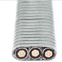 Cable plano #6 3c, plano o redondo, 3KV eeeeead Heath, acero blindado, ubmersible