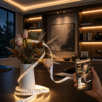 Pita LED Pixel RGBIC SK6812 Fleksibel PCB yang Dapat Dibengkokkan, Kecerahan Tinggi 144 LED/m, USB & Berperingkat IP65, Pilihan Warna Beragam