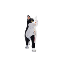 Modelo de Anatomía de Gato Simulado en PVC de 28 Piezas para Ciencias Médicas, Regalo para Niños, Recurso de Enseñanza, CE/ISO