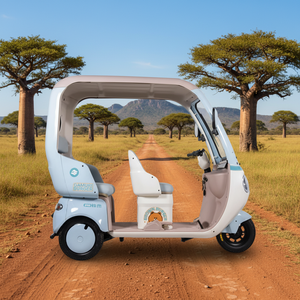 Nouveau Tricycle Électrique 2026 avec Cadre en Acier, Moteur Brushless et Pare-Soleil pour Protection Contre le Soleil et la Pluie, Plus Sûr pour 2-3 Conducteurs, 3 Roues - Product Image 1