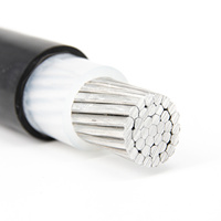 Cable de Alimentación de Cobre de Baja Tensión TTU de 0.6/1kv, Un Solo Núcleo, 4/0AWG 250 300 400 500 600 700 800 1000 MCM, Conductor de Cobre, Aislamiento XLPE