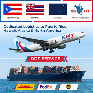 Transporte Aéreo/Marítimo Rápido de China a Alaska/Puerto <span class=keywords><strong>Rico</strong></span>/Hawái, DDP, Logística Internacional, Entrega Exprés - Product Image 1