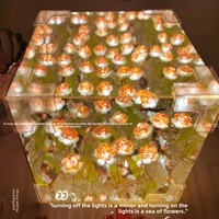 Veilleuse rose préservée bricolage faite à la main pour Rubik's Cube Flower Sea Mirror LED ABS Battery Operated Warm White Birthday Gift