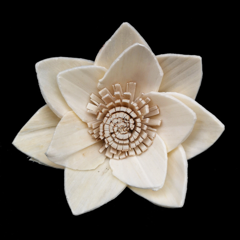 Nymphéa blanc 8cm-s054b08n