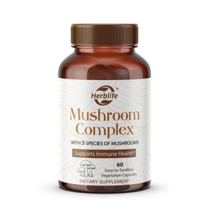 Complejo de Hongos OEM ODM, Suplemento de Hongos 5 en 1 (Melena de León, Reishi, Chaga, Maitake, Shiitake) para la Concentración y el Apoyo Inmunológico - Product Image 5