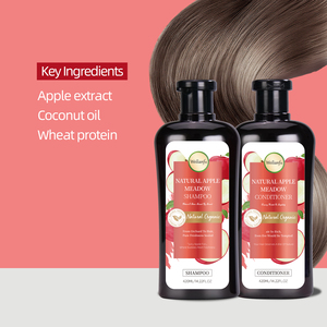 Ensemble de Soins Capillaires Bio Nettoyants en Profondeur en Gros – <span class=keywords><strong>Meilleur</strong></span> Shampooing et Après-Shampooing Naturels à la Pomme Anti-Chute pour Réparer les Cheveux Abîmés - Product Image 3