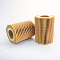 Filter Oli Mesin Truk Berkualitas Tinggi 1397764 1529636 1537111 1864382  LF16042 P550630  E34HD97 OX359D HU1270X untuk RENAULT DAF