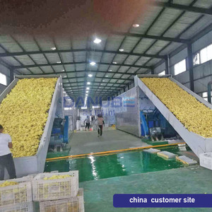 Équipement de séchage à air chaud de qualité alimentaire avec bande transporteuse pour la déshydratation des épices et le séchage des champignons - Product Image 5