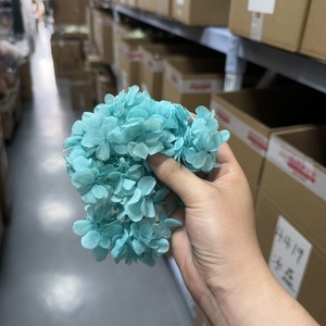 <span class=keywords><strong>Foglie</strong></span> di rami di eucalipto Bouquet foglia pianta verde per la festa nuziale decorazione della tavola floreale - Product Image 4