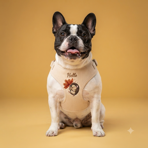 Ensemble personnalisé de harnais, collier et laisse pour chien – Accessoires pour animaux de compagnie personnalisé<span class=keywords><strong>s</strong></span> – Gilet pour chien tendance automne-hiver – Harnais réglable – OEM – Faible MOQ - Product Image 4