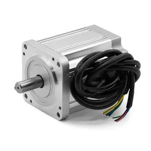 Hoog Koppel Lineaire Actuator 24V Elektrische Mini Micro Versnellingsbak Borstelloze Gelijkstroommotor Robot Zilver 48V Servomotor Bg Moteur Borstelloos